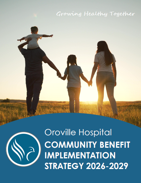 2026-2029 Implementation Strategy cover