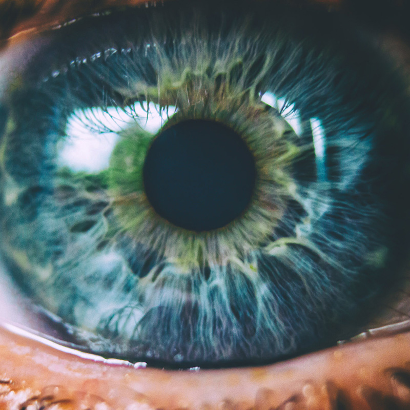Ophthalmology banner